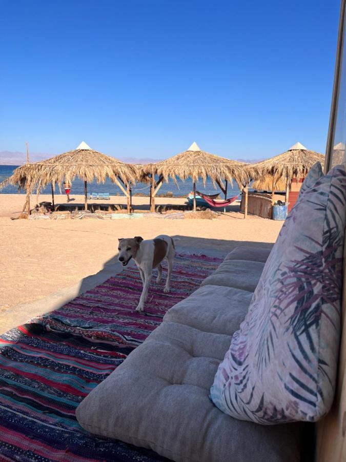 Abdo Caribbean Camp Hotel Nuweiba‘ el Muzeinah Exterior foto